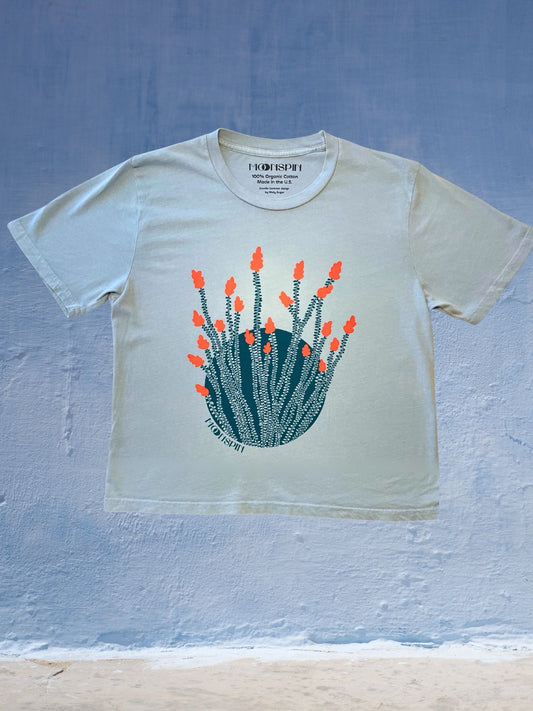 Ocotillo Contrast Cropped Tee by Molly Sugar