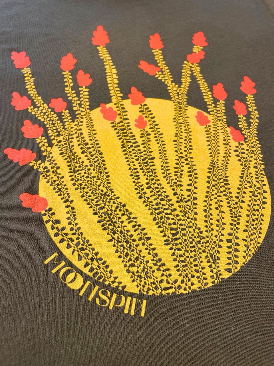 Ocotillo Contrast Cropped Tee by Molly Sugar