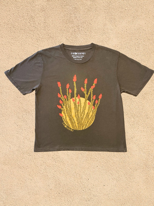 Ocotillo Contrast Cropped Tee by Molly Sugar